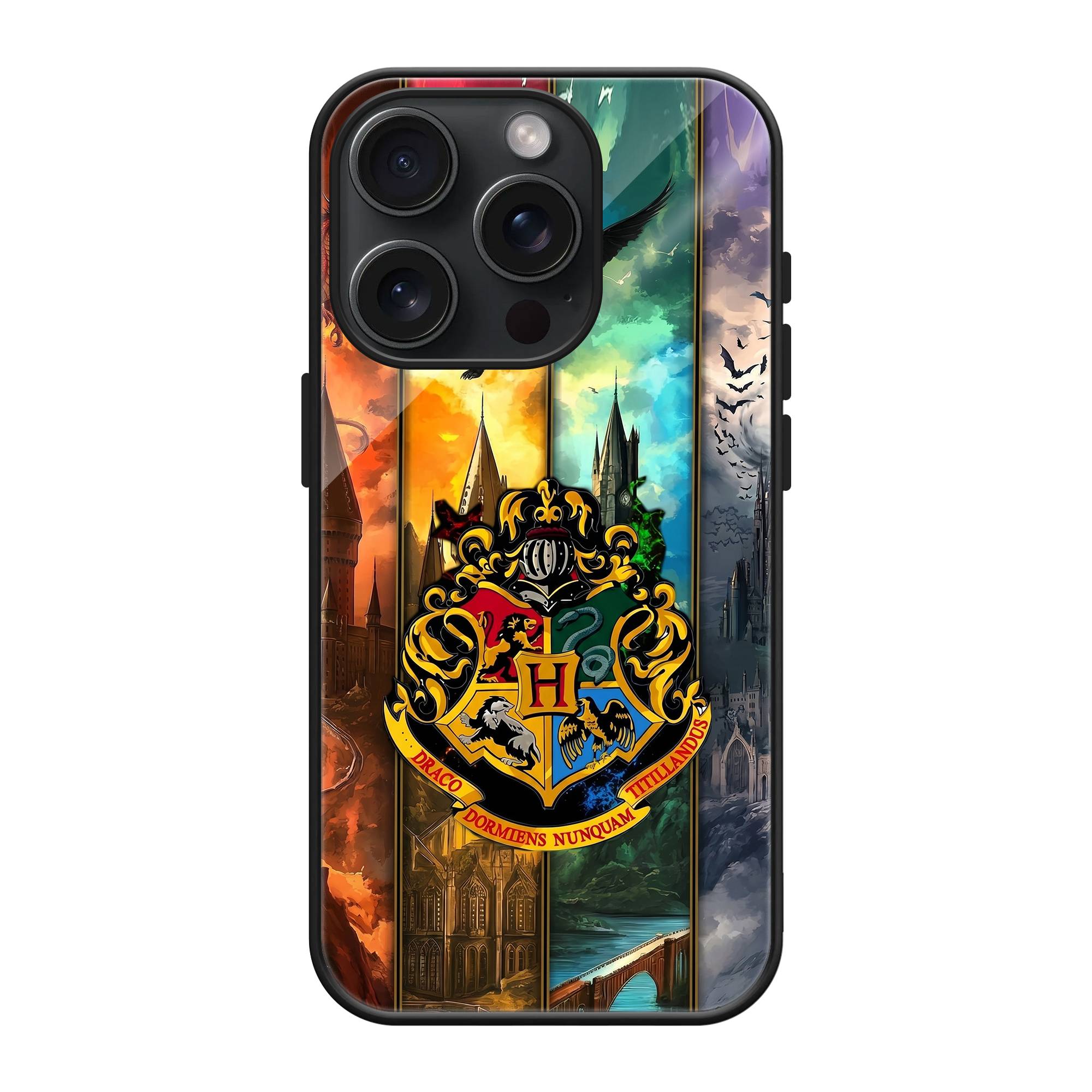 Hogwarts Glass Case