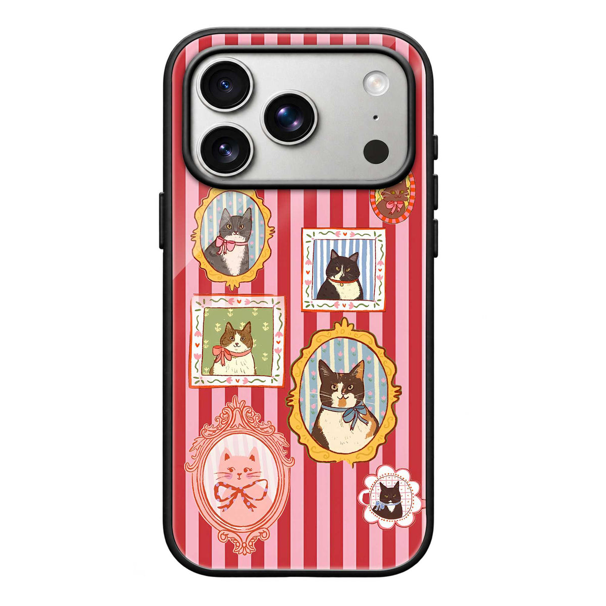 Cat Gallery Glass Case