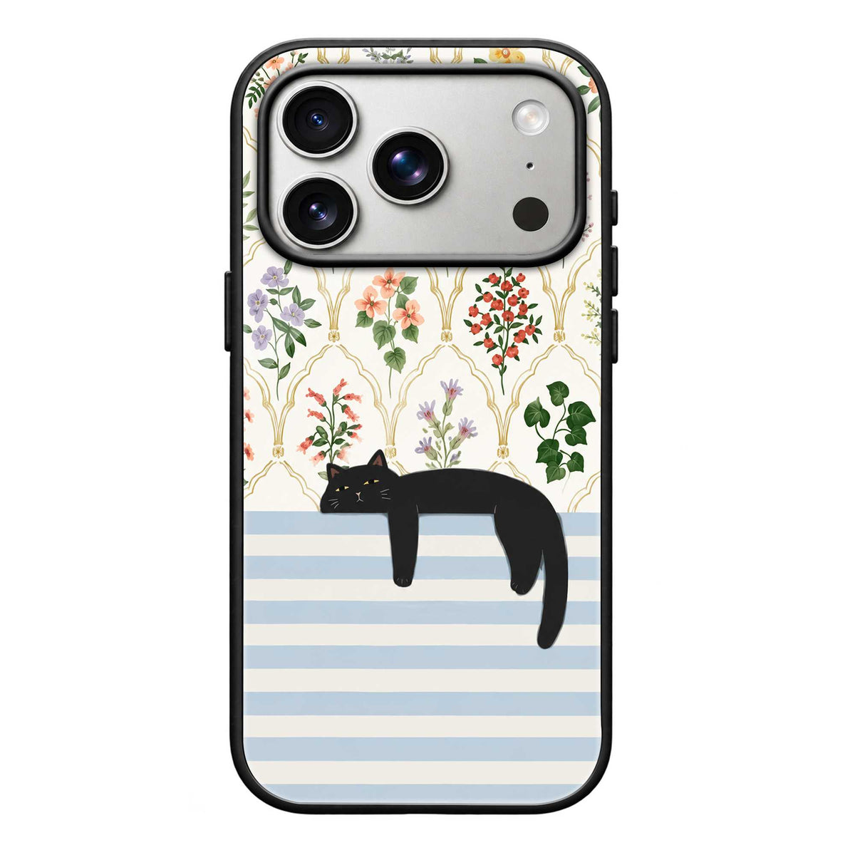 Lazy Cat Glass Case