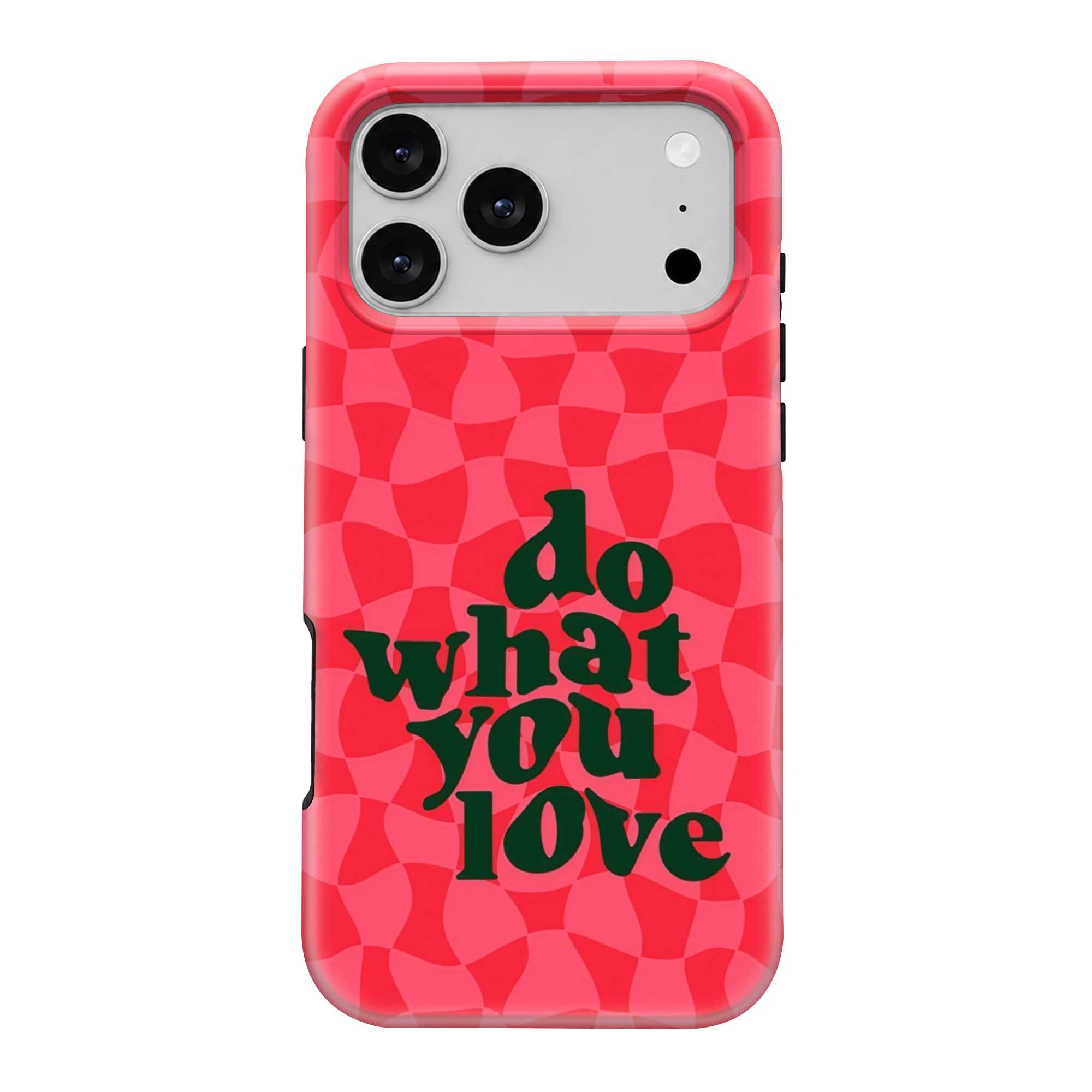 Love Vibes Dual Guard Case